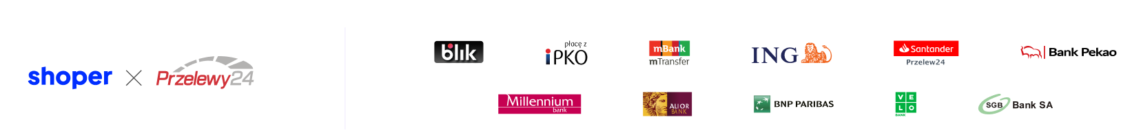 Metody płatności w sklepie – otwiera się w nowej karcie